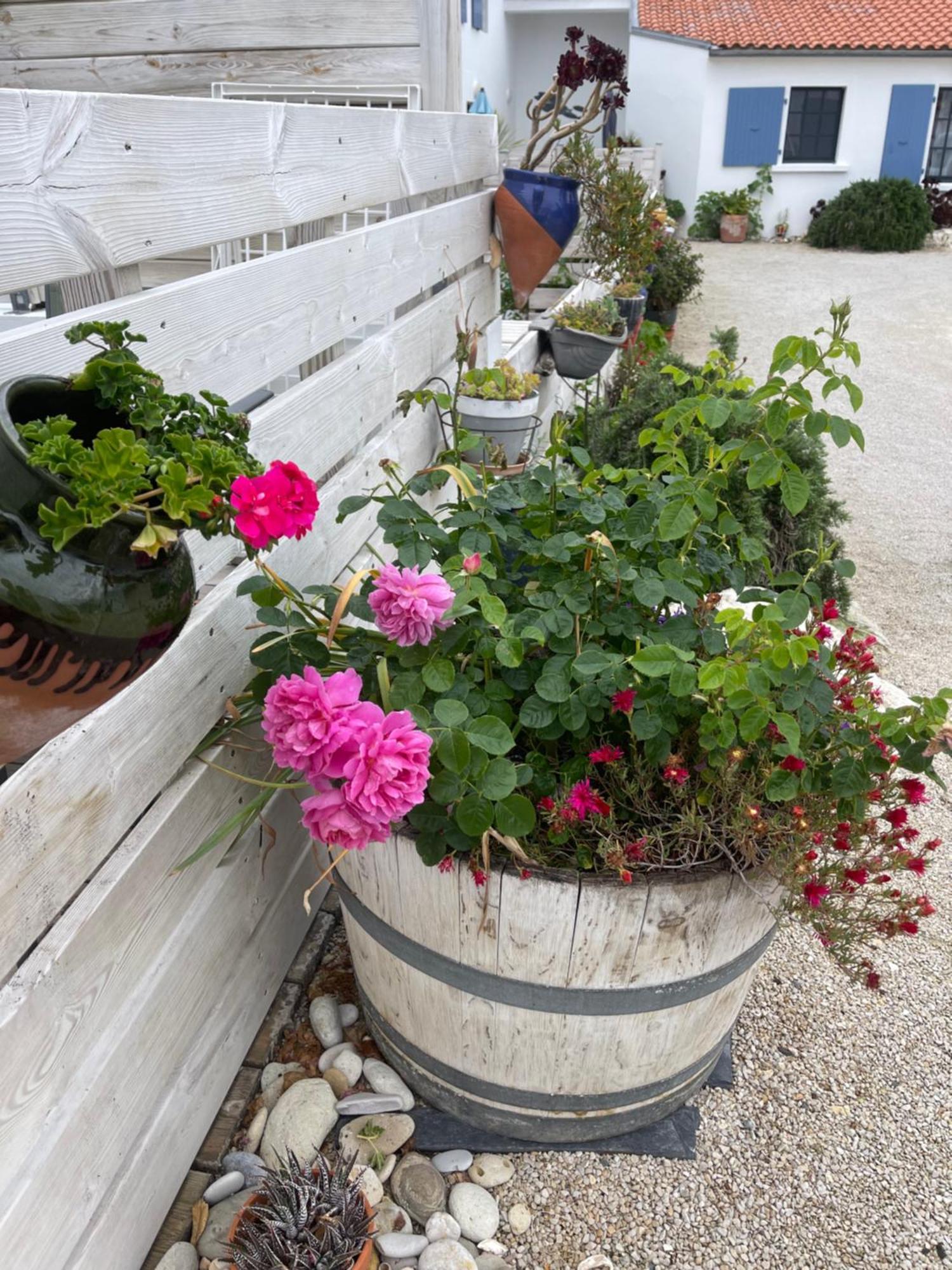 Clos Des Aigrettes -6 Gites De Charme Et Confort A 30M Du Port De La Cotinière Dış mekan fotoğraf